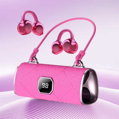 Language Translator Earbuds